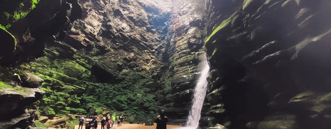 Jardim Botânico de Curitiba