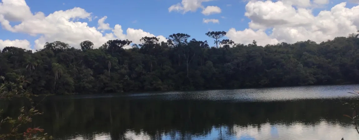 Jardim Botânico de Curitiba