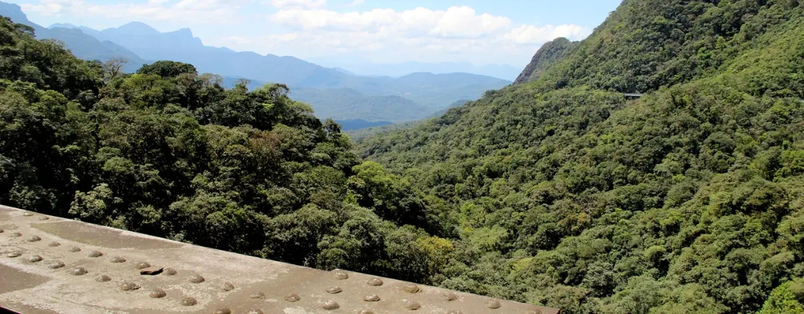 Jardim Botânico de Curitiba