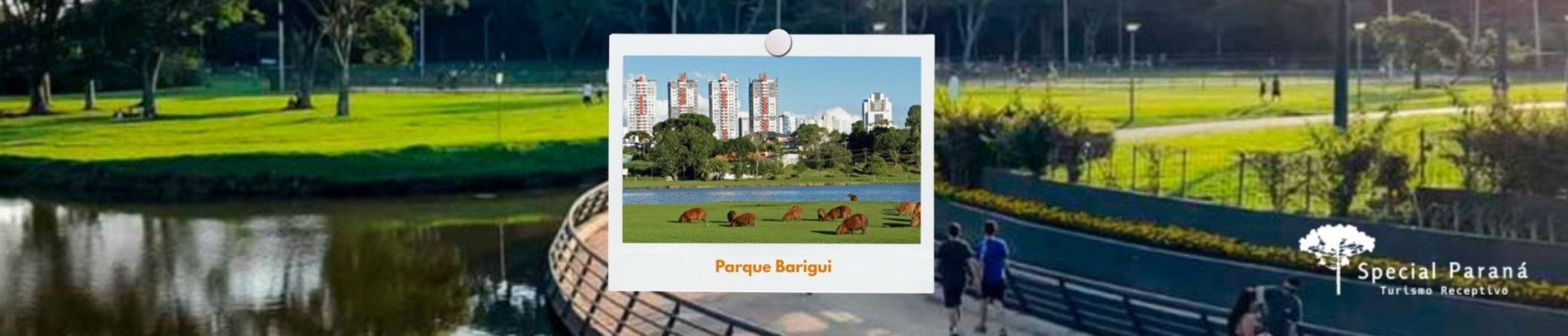 Parque Barigui: Conheça o Refúgio de Curitiba
