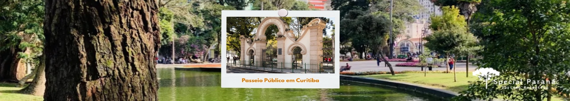 Passeio Público em Curitiba: Conheça o 1º parque da cidade