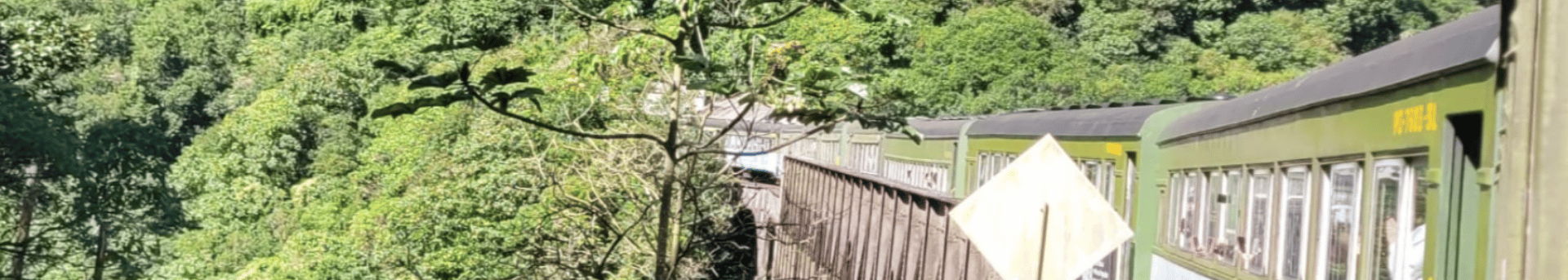 Avaliação trem Curitiba: vale a pena viajar?