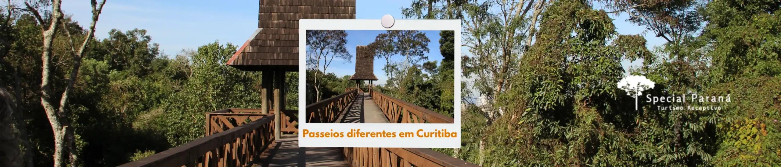 Imagem do post: Passeios diferentes em Curitiba: descubra a cidade por um novo ângulo