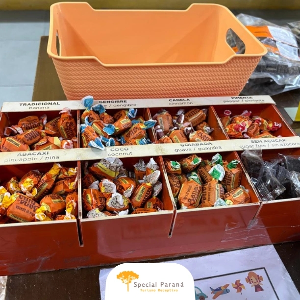 Trem Pôr do Sol Completo Turístico - imagem 3