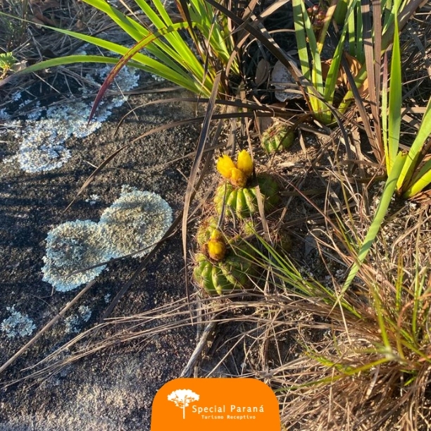 Buraco do Padre e Furnas do Passo do Pupo - privativo - imagem 2