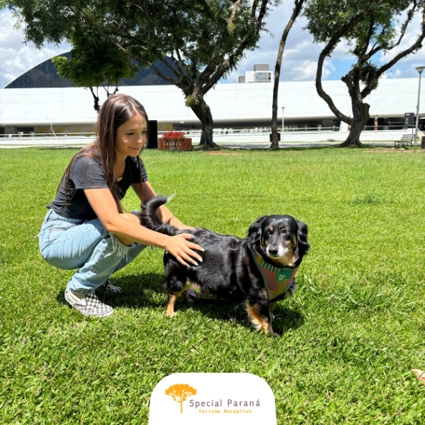 Curitiba com Seu Pet - imagem 4