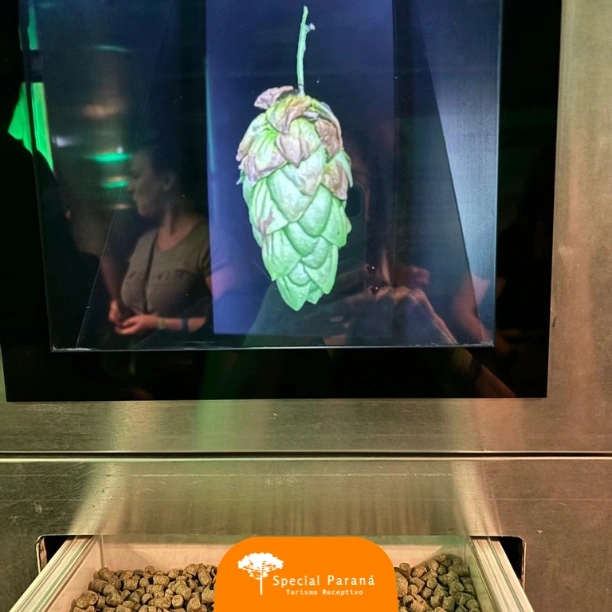 Heineken e Vila Velha - imagem 4