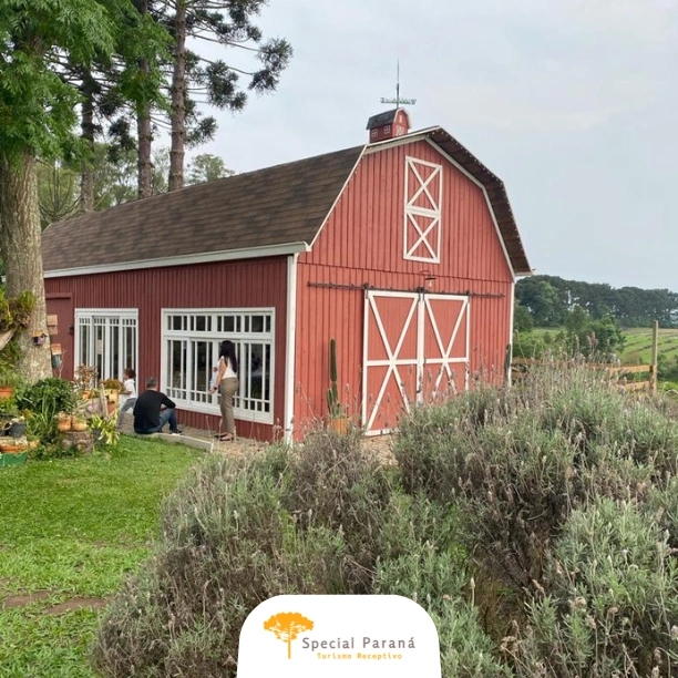 Colônia Witmarsum - privativo - imagem 2