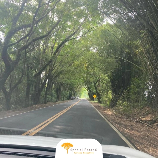 Colônia Witmarsum - privativo - imagem 3