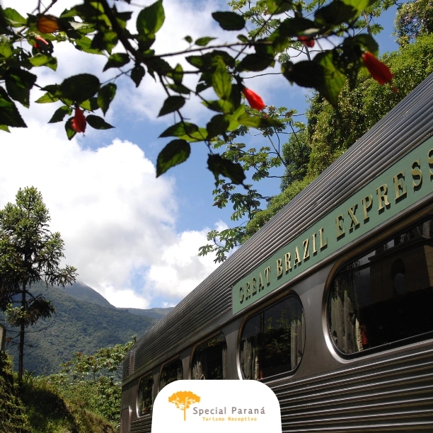 Passeio Trem de Luxo - alta temporada - imagem 4