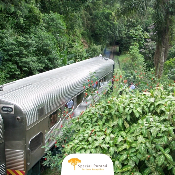 Passeio Trem de Luxo - alta temporada - imagem 5