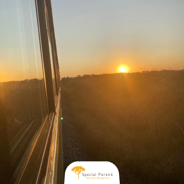 Trem Pôr do Sol Turístico Simples - imagem 2