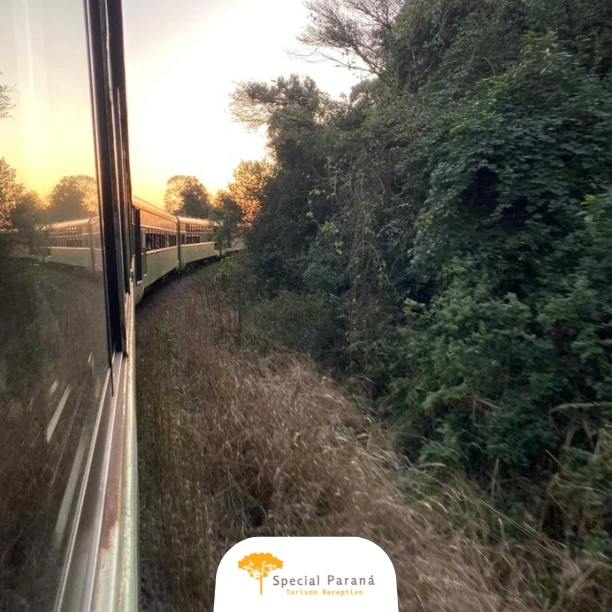 Trem Pôr do Sol Turístico Simples - imagem 5