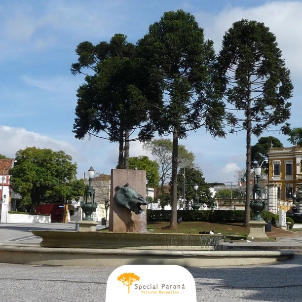 Caminhando por Curitiba - privativo - imagem 2