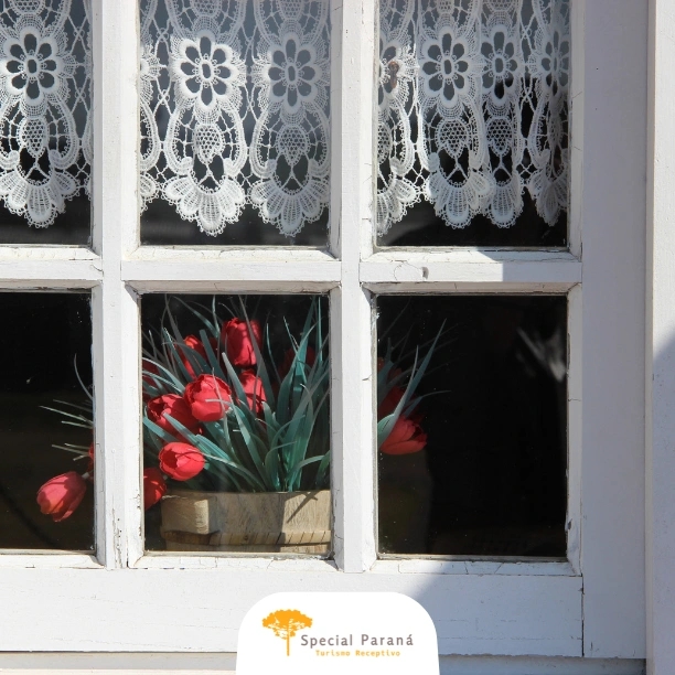 Vila Velha e Colônias Holandesas - privativo - imagem 4