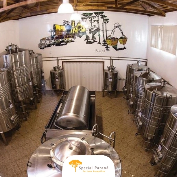 Vinícola Araucária - privativo - imagem 2