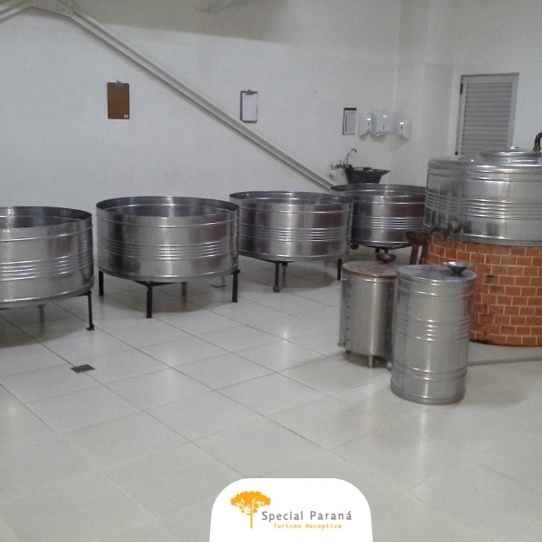 Aventura 4x4 Serra do Mar com Trem Turístico - imagem 5