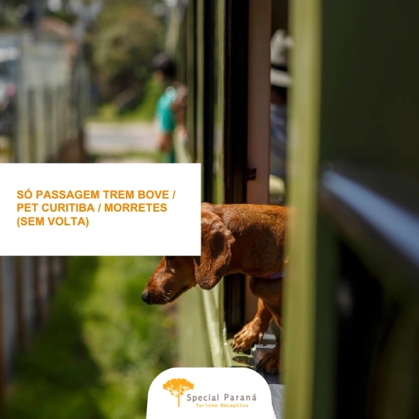 Passagem Ida Trem Bove / Pet Curitiba - Morretes - imagem 1