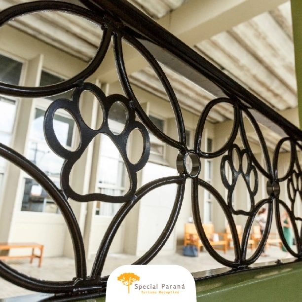 Passagem Ida Trem Bove / Pet Curitiba - Morretes - imagem 3