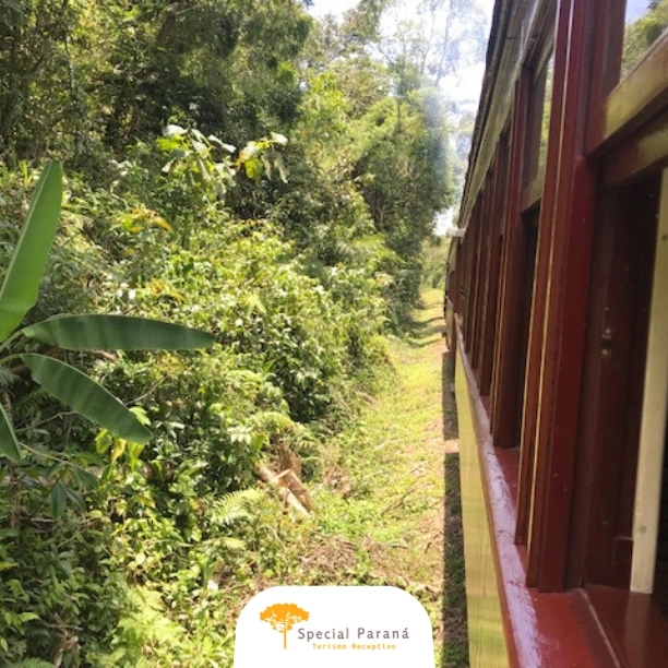 Maria Fumaça Morretes / Antonina - saída às 16h00 - imagem 4