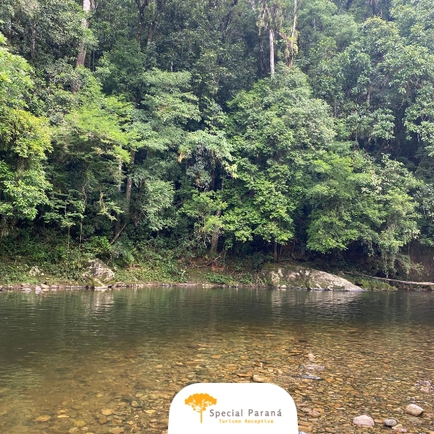 Aventura 4x4 Serra do Mar com Trem Boutique - imagem 3