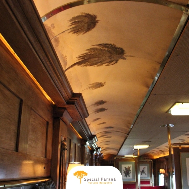 Aventura 4x4 Serra do Mar com Trem Luxo - imagem 3