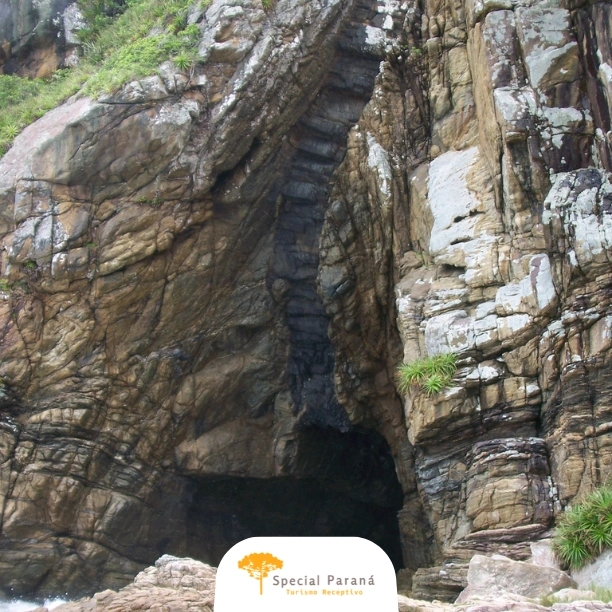 Curitiba Essencial e Ilha do Mel - imagem 4