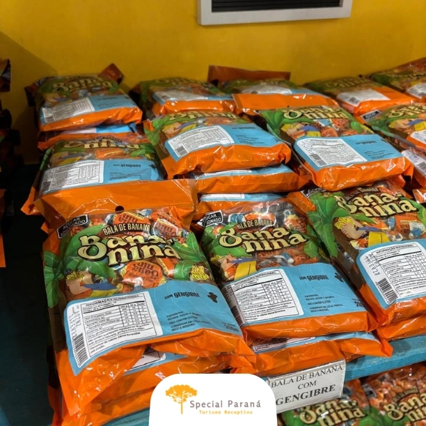 Trem Passeio Turístico SEM ALMOÇO - imagem 3