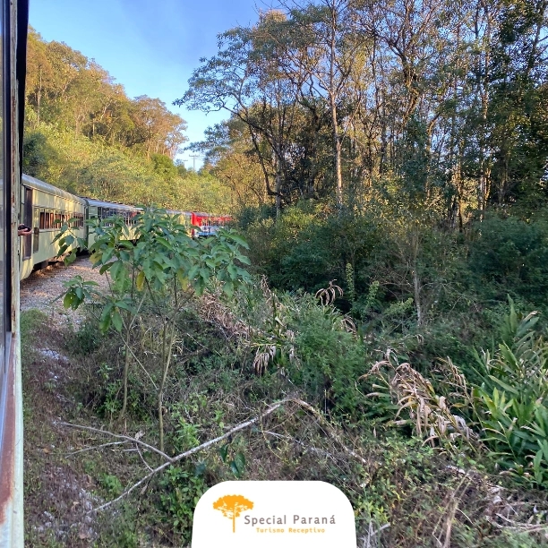 Trem Pôr do Sol Turístico SEM ALMOÇO - imagem 2