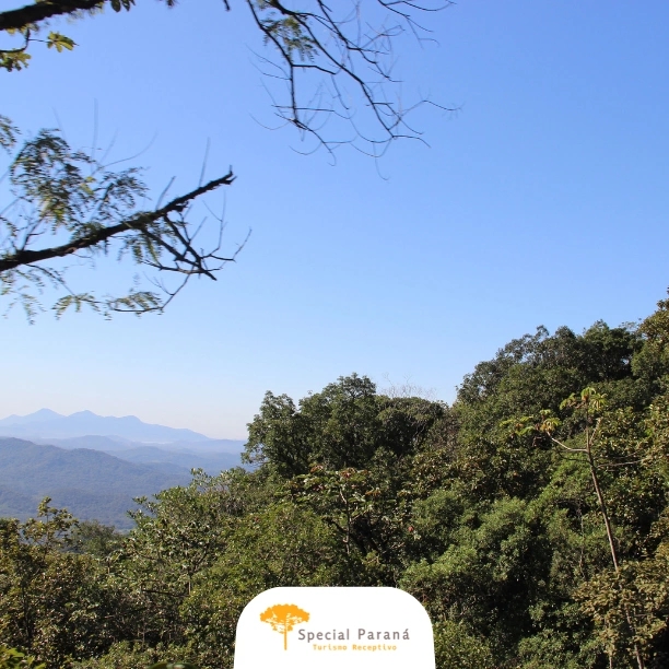 Trem Passeio Turístico - imagem 3