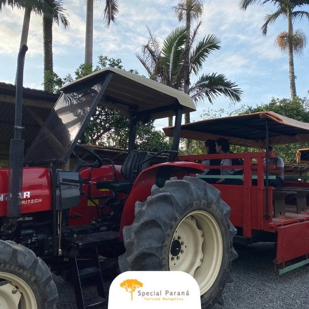 Joinville: Flores, Cultura e Dança - saída de Curitiba (terça à sexta) - imagem 2