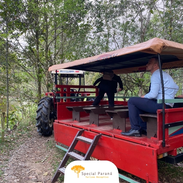 Joinville: Flores, Cultura e Dança - saída de Curitiba (terça à sexta) - imagem 3