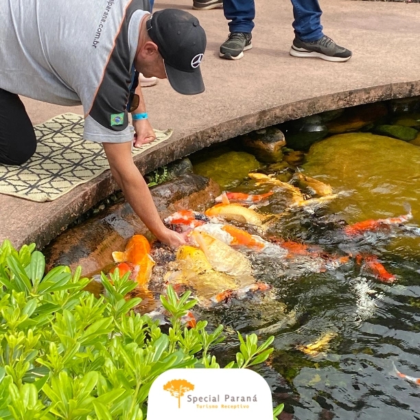 Joinville: Flores, Cultura e Dança - saída de Curitiba (terça à sexta) - imagem 4