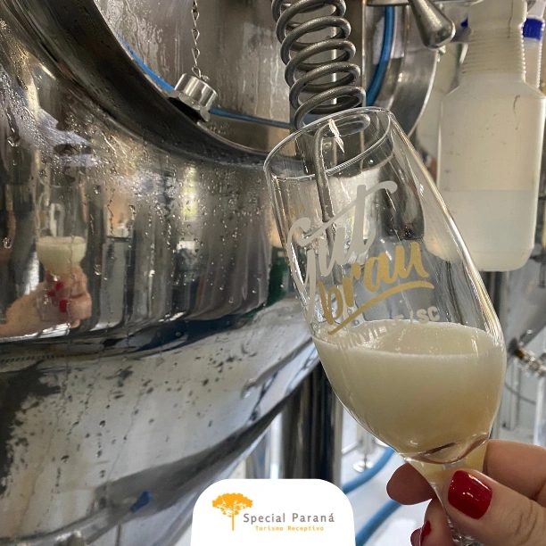 Joinville: Flores, Cultura e Cerveja - saída de Curitiba (sábado e domingo) - imagem 3