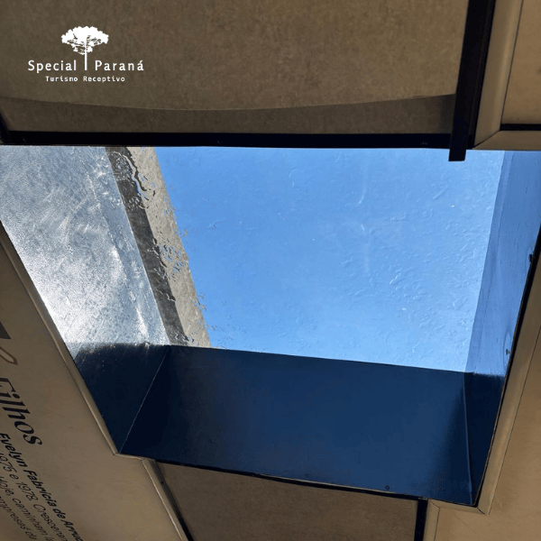 Trem Passeio Família Arruda - Imagem 6