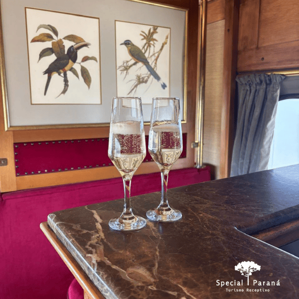 Passeio Trem de Luxo - baixa temporada - Imagem 18